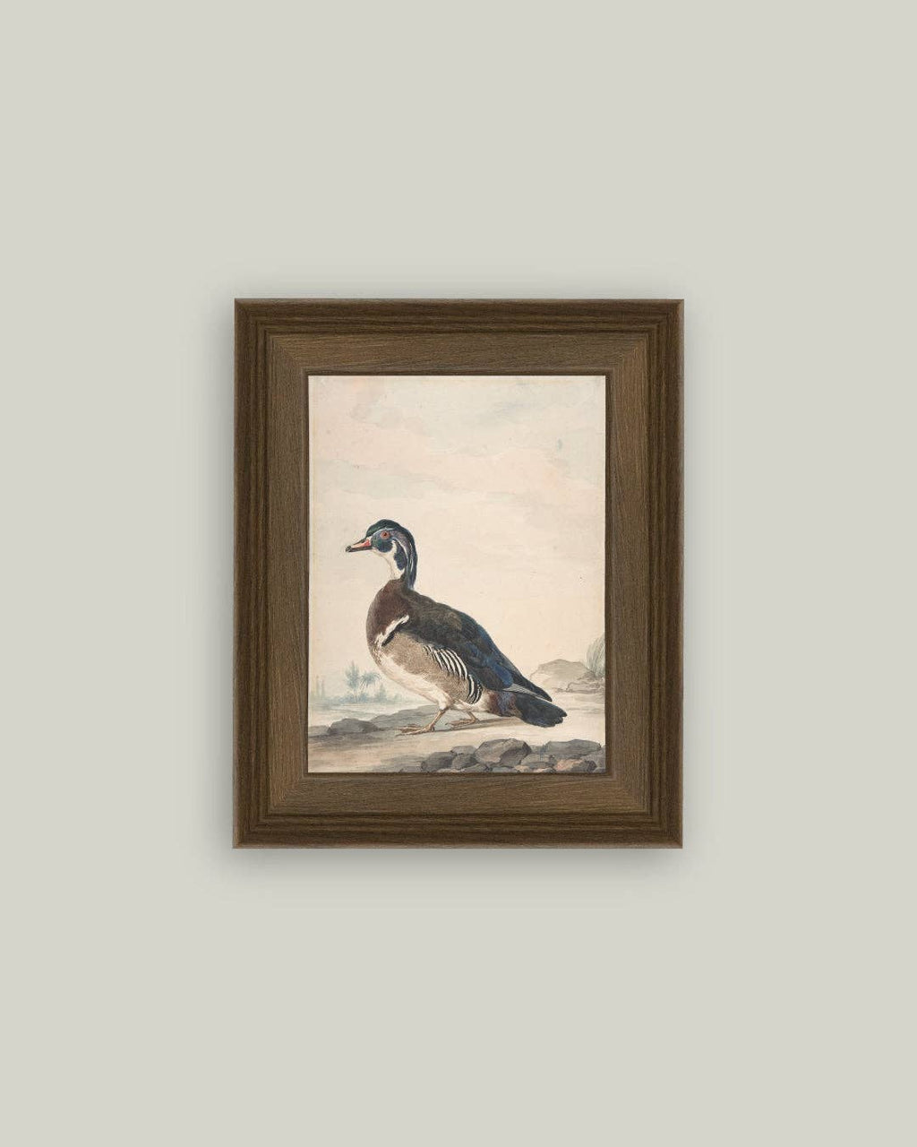 A Duck Framed Antique Art