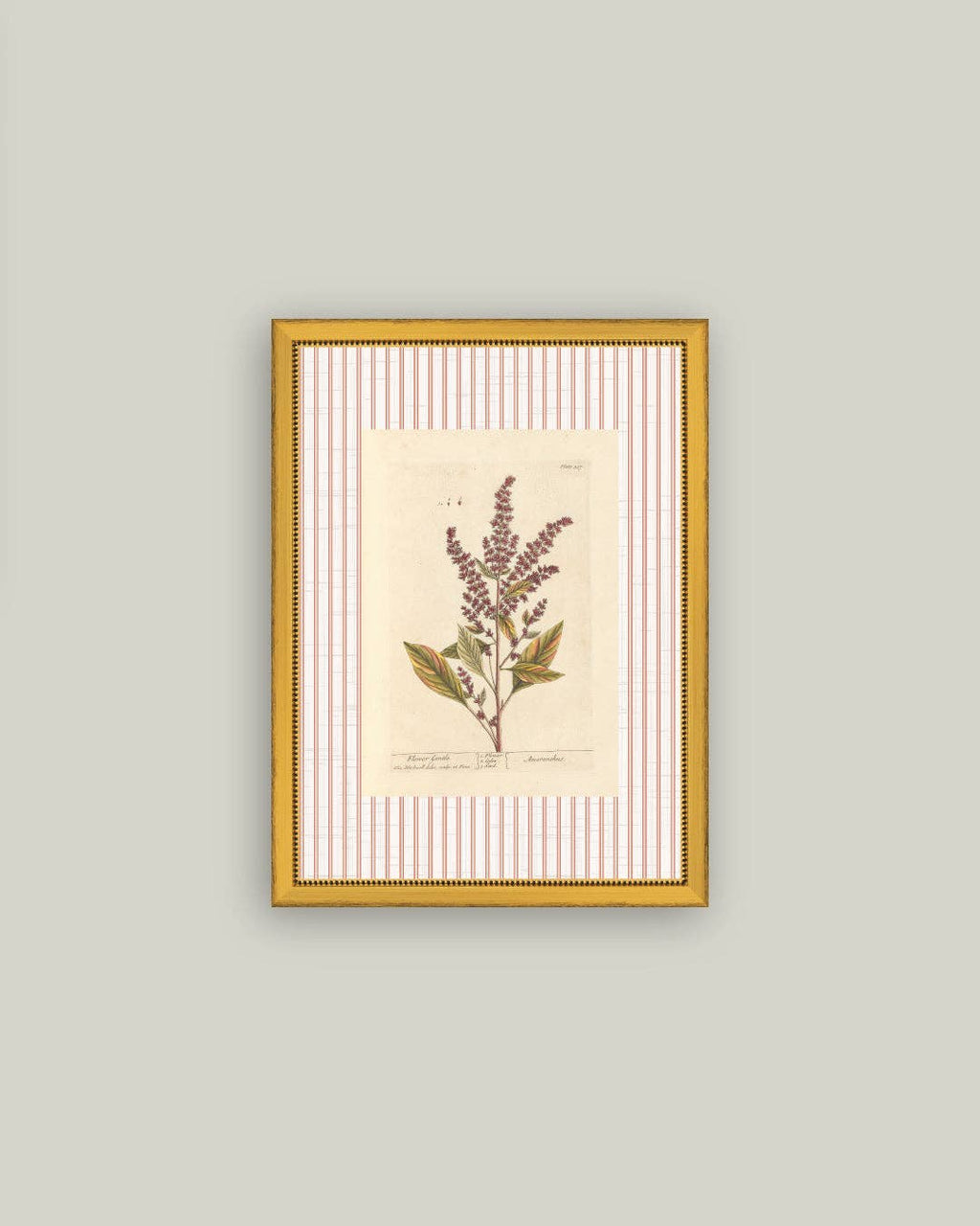 Flower Gentle Framed Antique Art