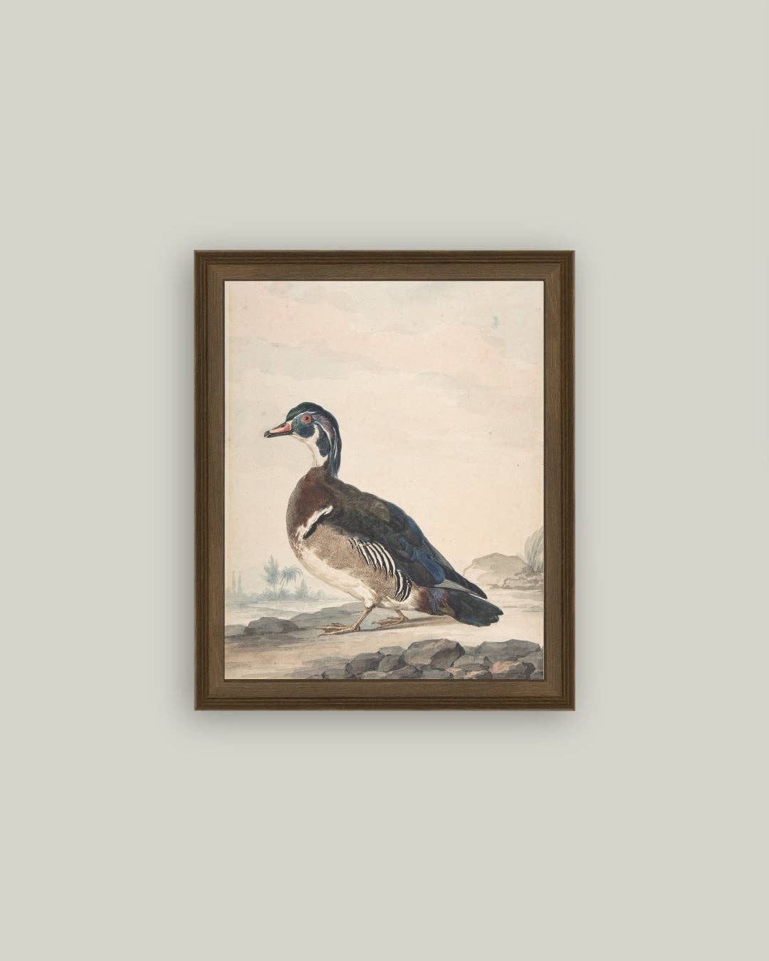 A Duck Framed Antique Art