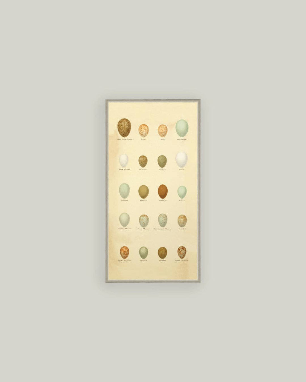 Color of Eggs Framed Antique Art